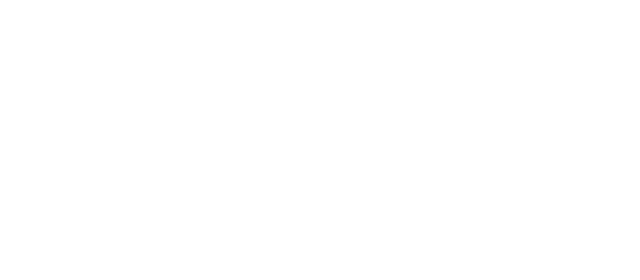 Kaufmann Kraftfahrzeuge